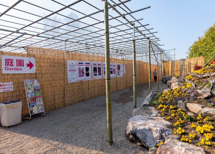 (Photo: Timothy Sullivan/LIVE JAPAN)