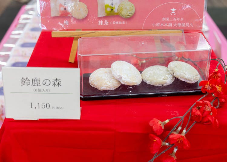 (Photo: Timothy Sullivan/LIVE JAPAN)