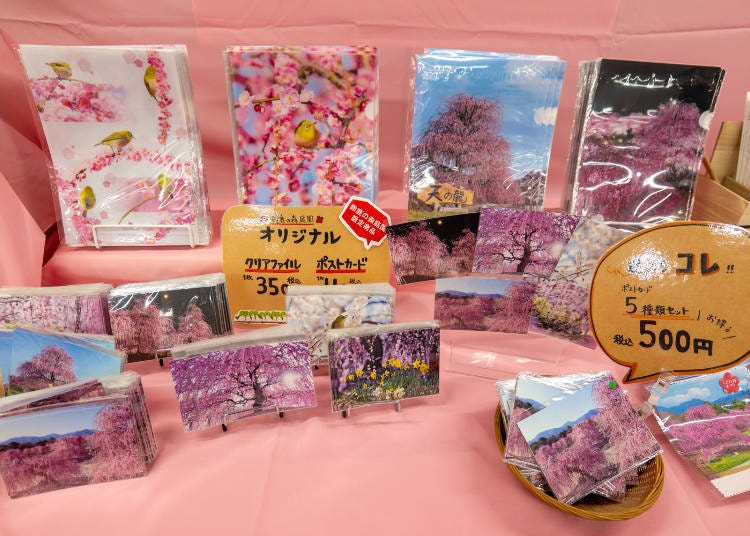 (Photo: Timothy Sullivan/LIVE JAPAN)