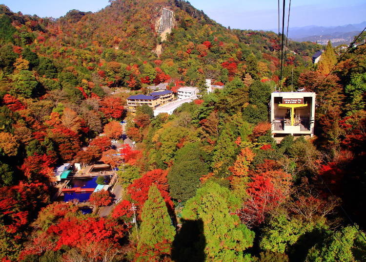 Autumn Leaves from the Rokko-Arima Ropeway (Photo: PIXTA)