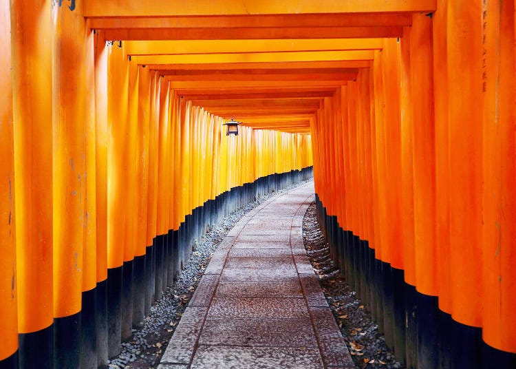 Fushimi Inari Taisha (Source: PIXTA)