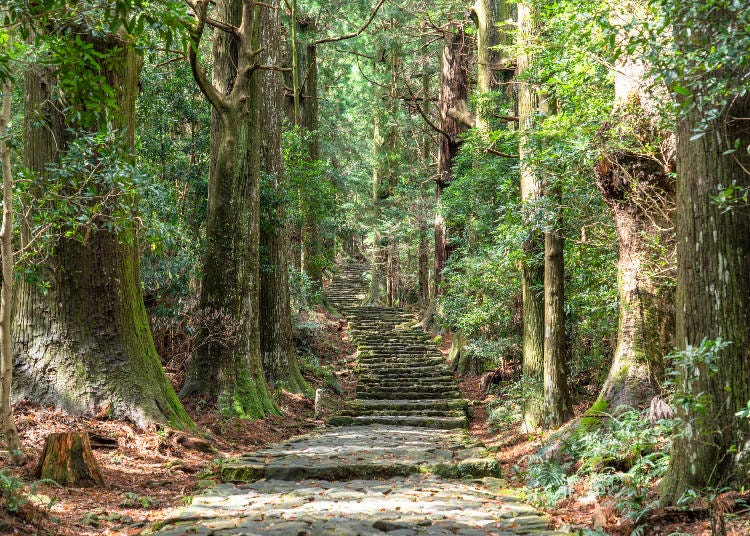 熊野古道（画像素材:PIXTA）