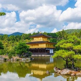 Kyoto and Nara Day Tour
Photo: (Klook)