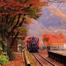 From Osaka: Sagano Train Ride and Guided Day Tour
Photo: (Klook)