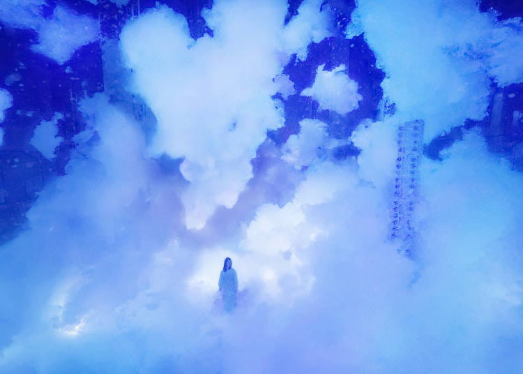 (teamLab, Massless Amorphous Sculpture © teamLab *Reference Image)