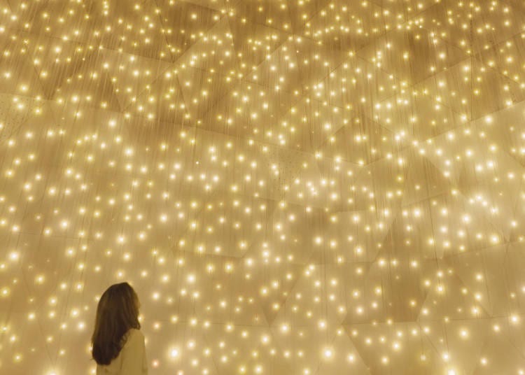 (teamLab, Massless Suns and Dark Suns © teamLab *Reference Image)