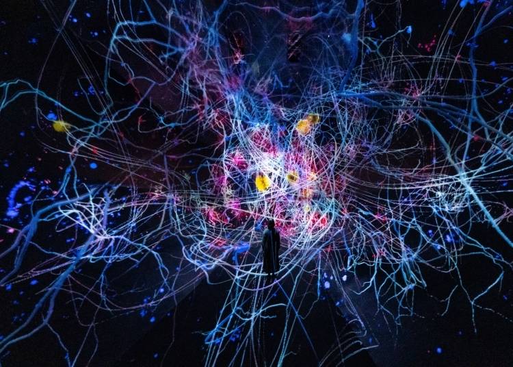 (teamLab, Traces of Life © teamLab *Reference Image)