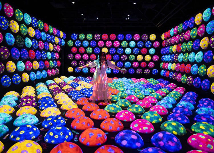 Rapidly Rotating Bouncing Spheres in the Caterpillar House