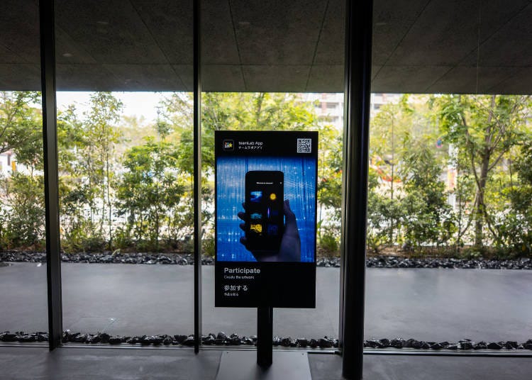 Helpful Tips: Things to Know Before Entering teamLab Biovortex Kyoto