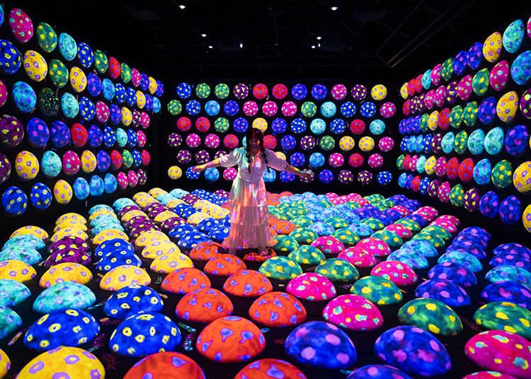 Rapidly Rotating Bouncing Spheres in the Caterpillar House