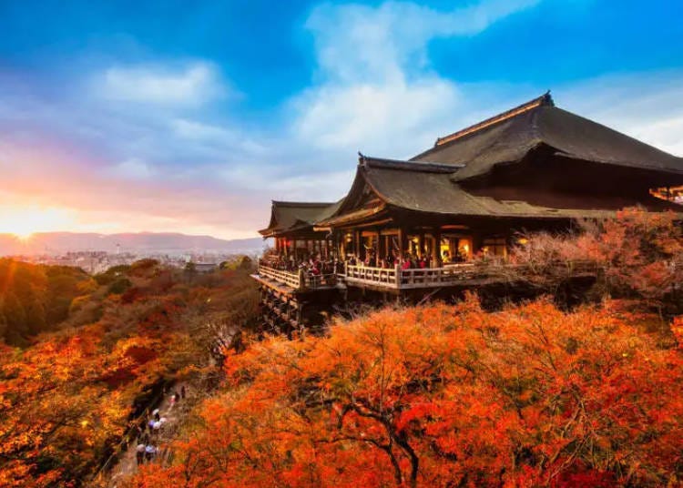 What's the Difference Between Kyoto Shrines and Temples? Both Are Mysterious