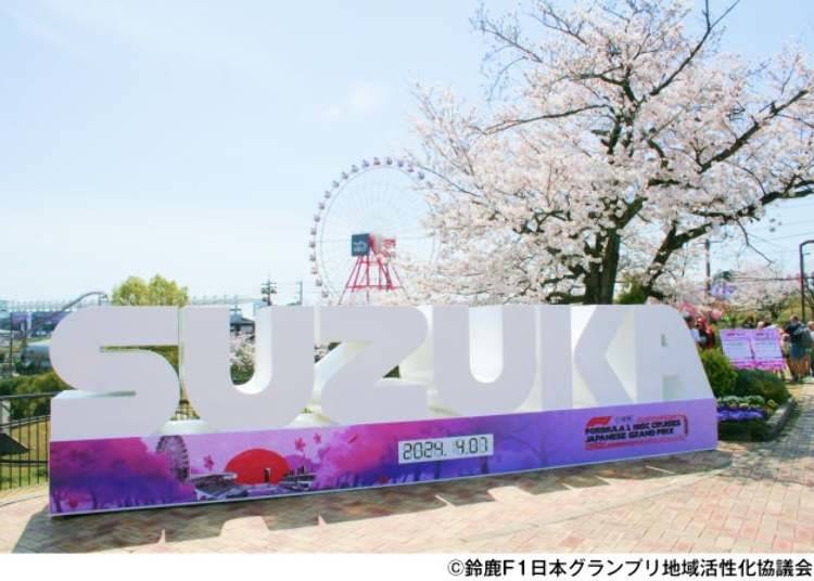 The Top Attraction: The Race Experience