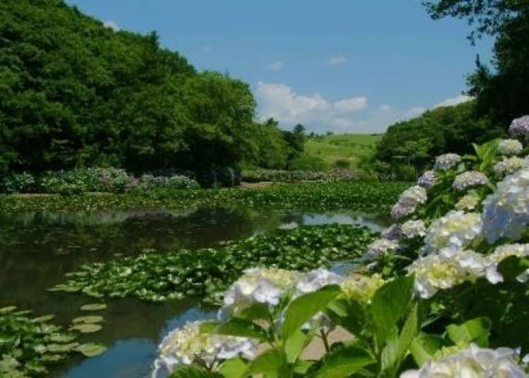 Image Credit：Mitsui Fudosan