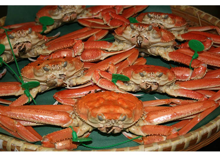 Photo courtesy of the Kyoto Tourism Federation