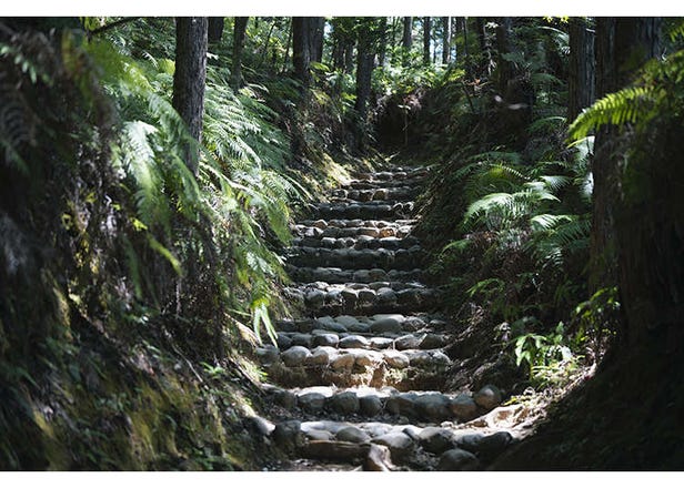 Kumano Kodo's Nakahechi Route: A World Heritage Journey Starting from Kii-Tanabe Station