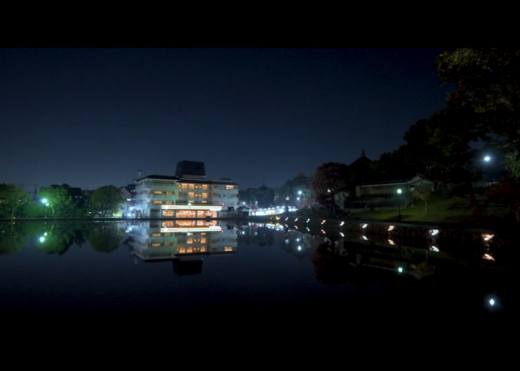 The magical Sarusawa Pond near Kohfukuji Temple