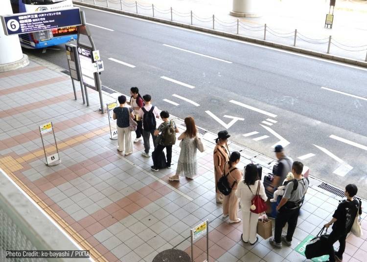 購票與搭乘方式：網路預訂、優惠票及乘車步驟