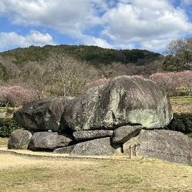 One Day Private Walking Guided Tour in Asuka
Details & Bookings ▶
(Image/Activity provider: Klook)