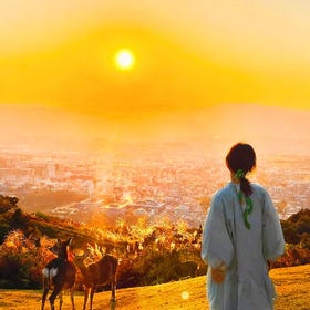 Kyoto and Nara Full-Day World Heritage Tour with Deer Feeding Experience
Details & Bookings ▶
(Image/Activity provider: Klook)