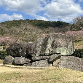 飛鳥一日私人導覽步行之旅
查看詳情與預約 ▶
(圖片／行程提供：Klook)