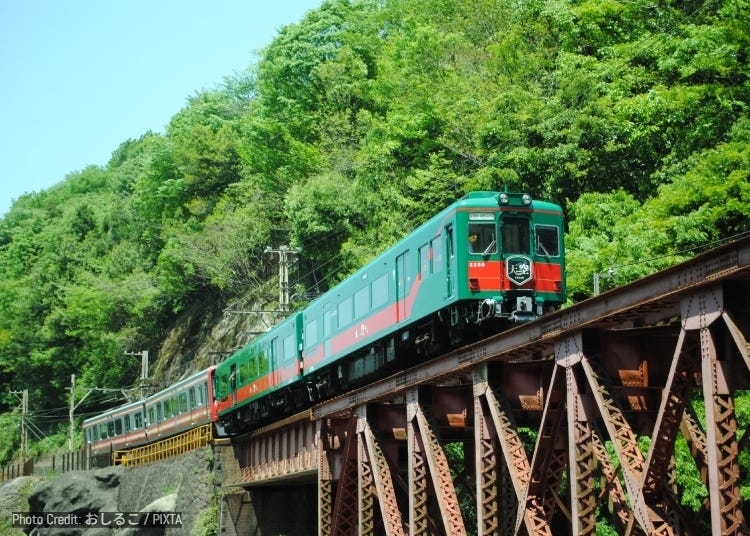 Koyachi パストゥーグラン Koyasan's Sacred Silence Gets a Futuristic Upgrade: Electric Buses