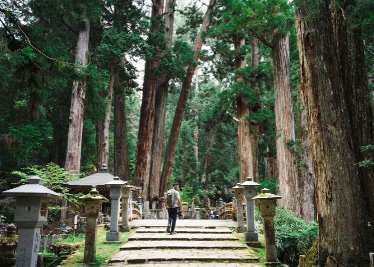 Koyasan's Sacred Silence Gets a Futuristic Upgrade: Electric Buses Arrive with GRAN TENKU in 2026