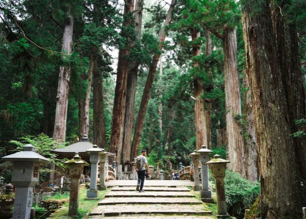 Koyasan's Sacred Silence Gets a Futuristic Upgrade: Electric Buses Arrive with GRAN TENKU in 2026