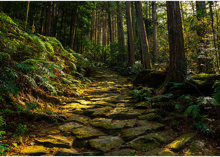 Walking the Sacred Sites of the Kii Mountains: An Inner Journey