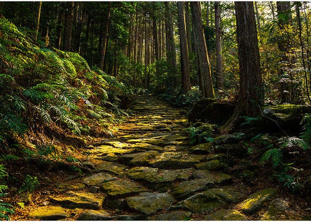 Walking the Sacred Sites of the Kii Mountains: An Inner Journey