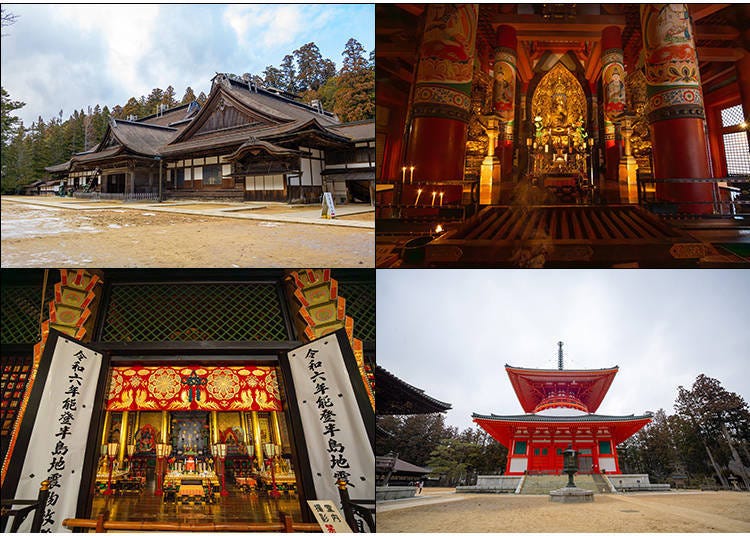 Kohechi: The Way of the Step