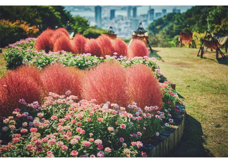 Image source: Kobe Resort Service Co., Ltd.