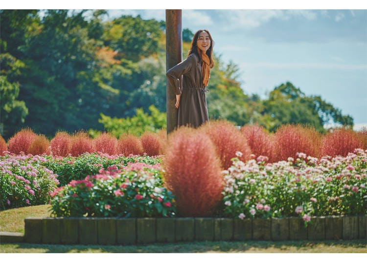 Image source: Kobe Resort Service Co., Ltd.