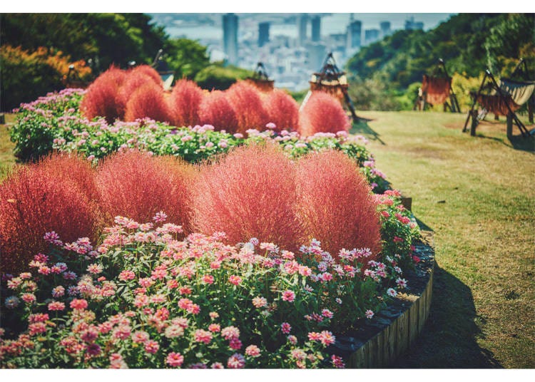 ที่มาของภาพ: Kobe Resort Service Co., Ltd.