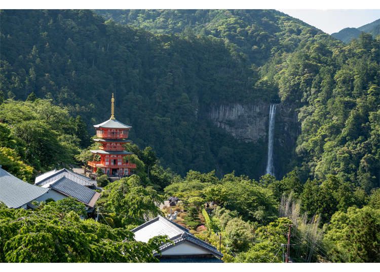 Weekend in Wakayama: 2-Day Journey Through Japan's Spiritual Kii Peninsula