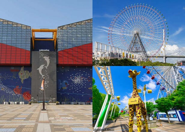 Osaka Family Trip: Kids Will Love This! Osaka's Best Indoor Attractions in One Easy Day Itinerary (No Sunburns or Rain Worries)