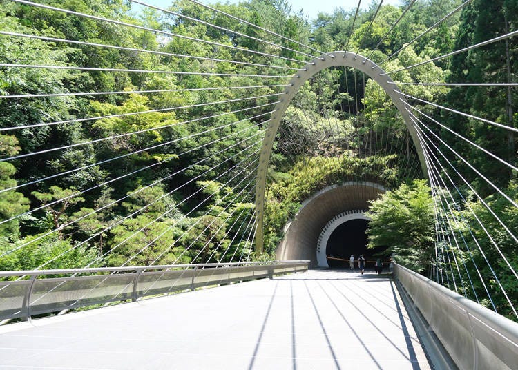 图片来源:LIVE JAPAN 编辑部 / Wemmy