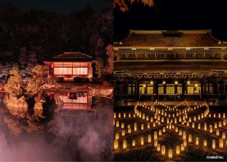 Kyoto Autumn Illuminations: 16 Dreamy Night Light-Ups for 2026