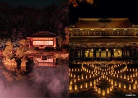 2026京都賞楓必看！16大夢幻夜間點燈景點全攻略