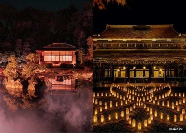 京都红叶点灯攻略：2026年16大梦幻夜景不容错过