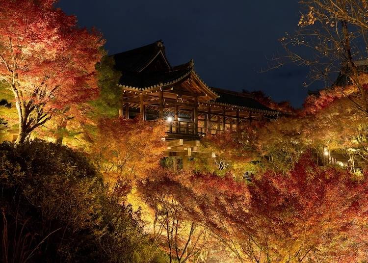 (Image credit: Tofukuji / Image shows past event)