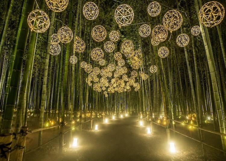 (Image credit: Arashiyama Tsukitouro)