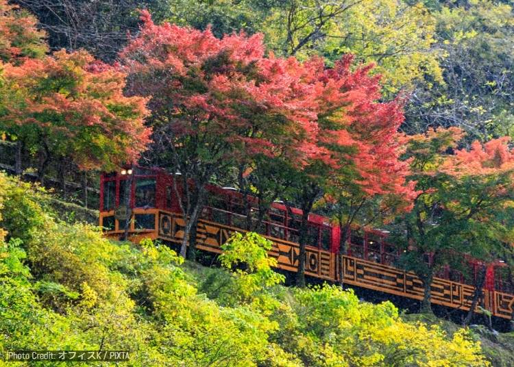 13. Sagano Romantic Train: Light Fantasy Train