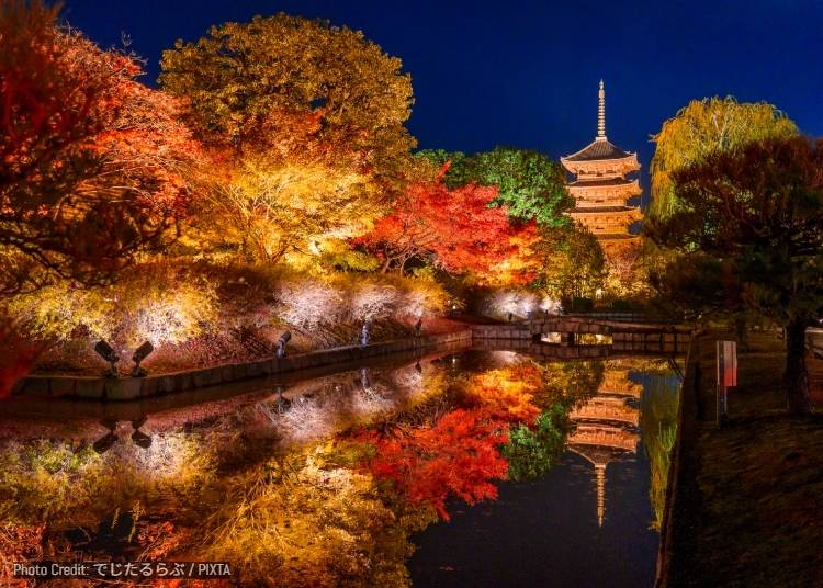 3. Toji Temple: Autumn Foliage Illumination and Special Night Viewing