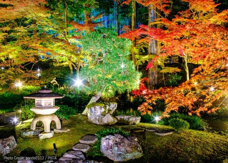 9. Kurotani Konkai Komyo-ji: Autumn Special Night Viewing