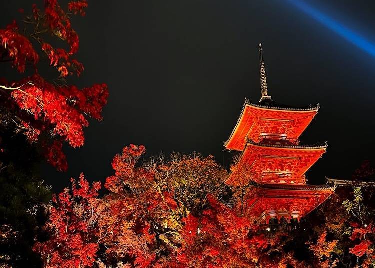 (图片来源:OKAMOTO Corp.)