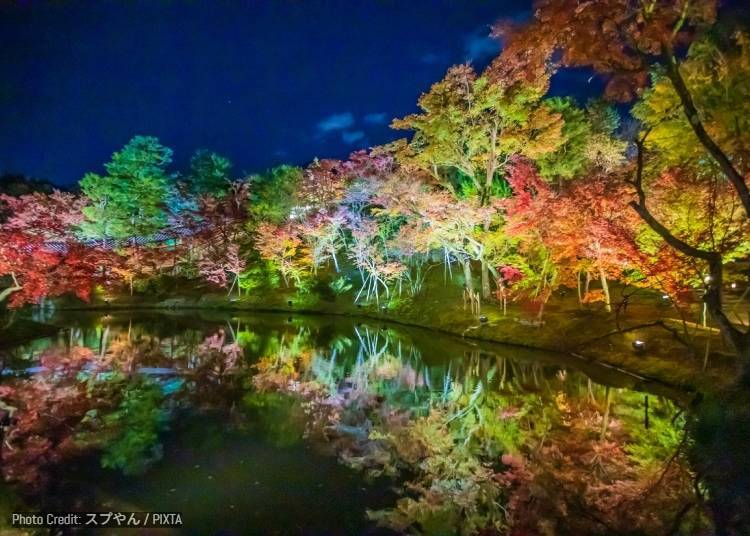 4. 高台寺:秋季特别夜间参拜