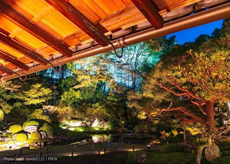 8. 青莲院:秋季特别夜间参拜