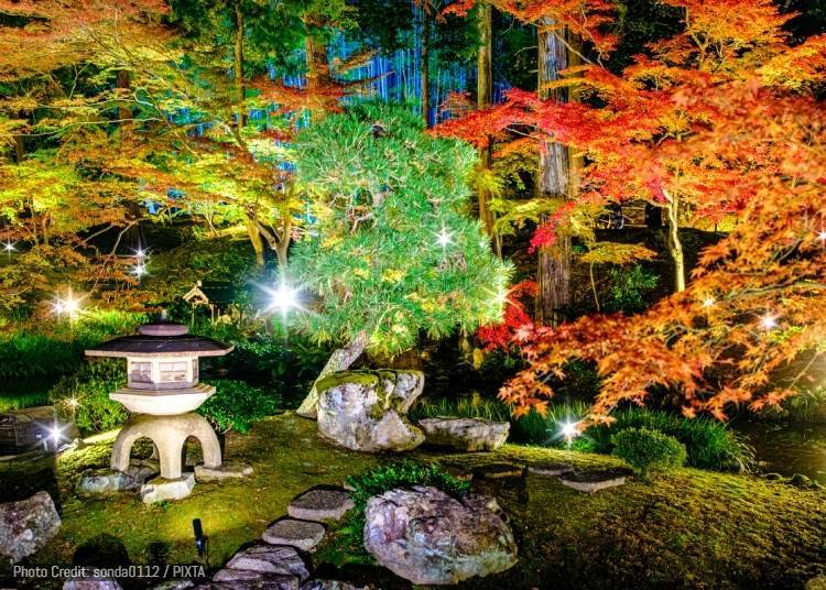 9. 黑谷金戒光明寺:秋季特别夜间参拜