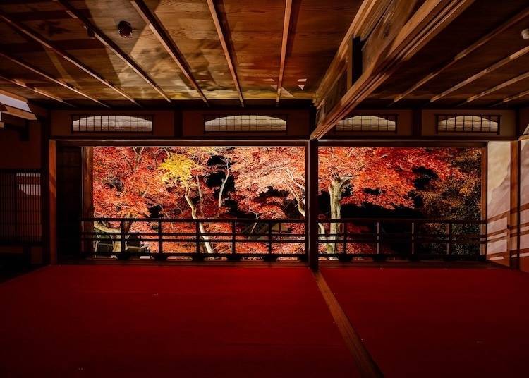 (圖片來源:楊谷寺・柳谷觀音/照片為過去活動實況)