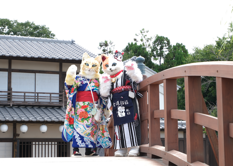 (Photo credit: Wemmy/LIVE JAPAN)
